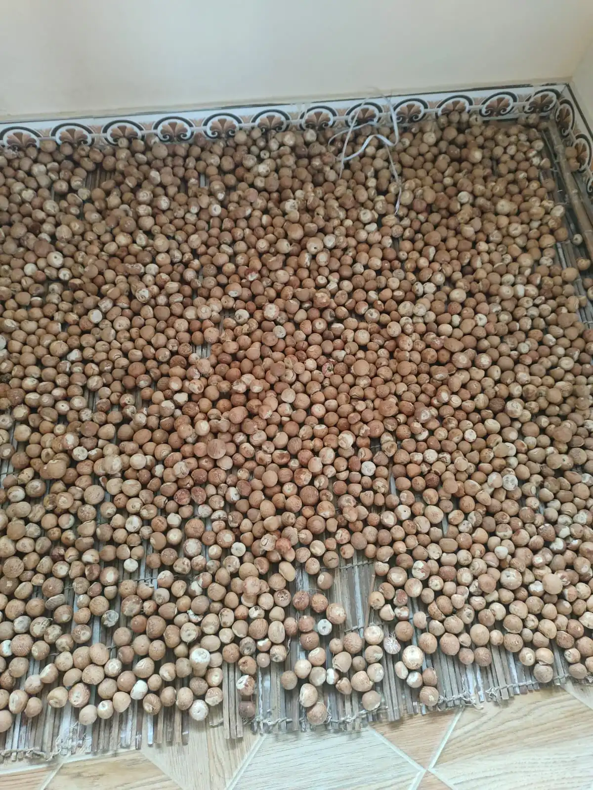 Double Chol Arecanut Thick Skin