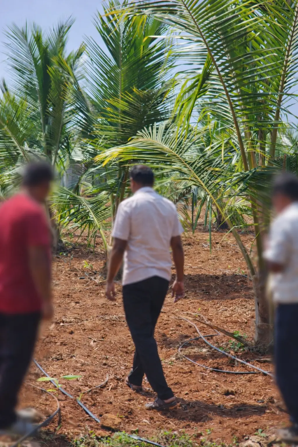 On-Site Consultation